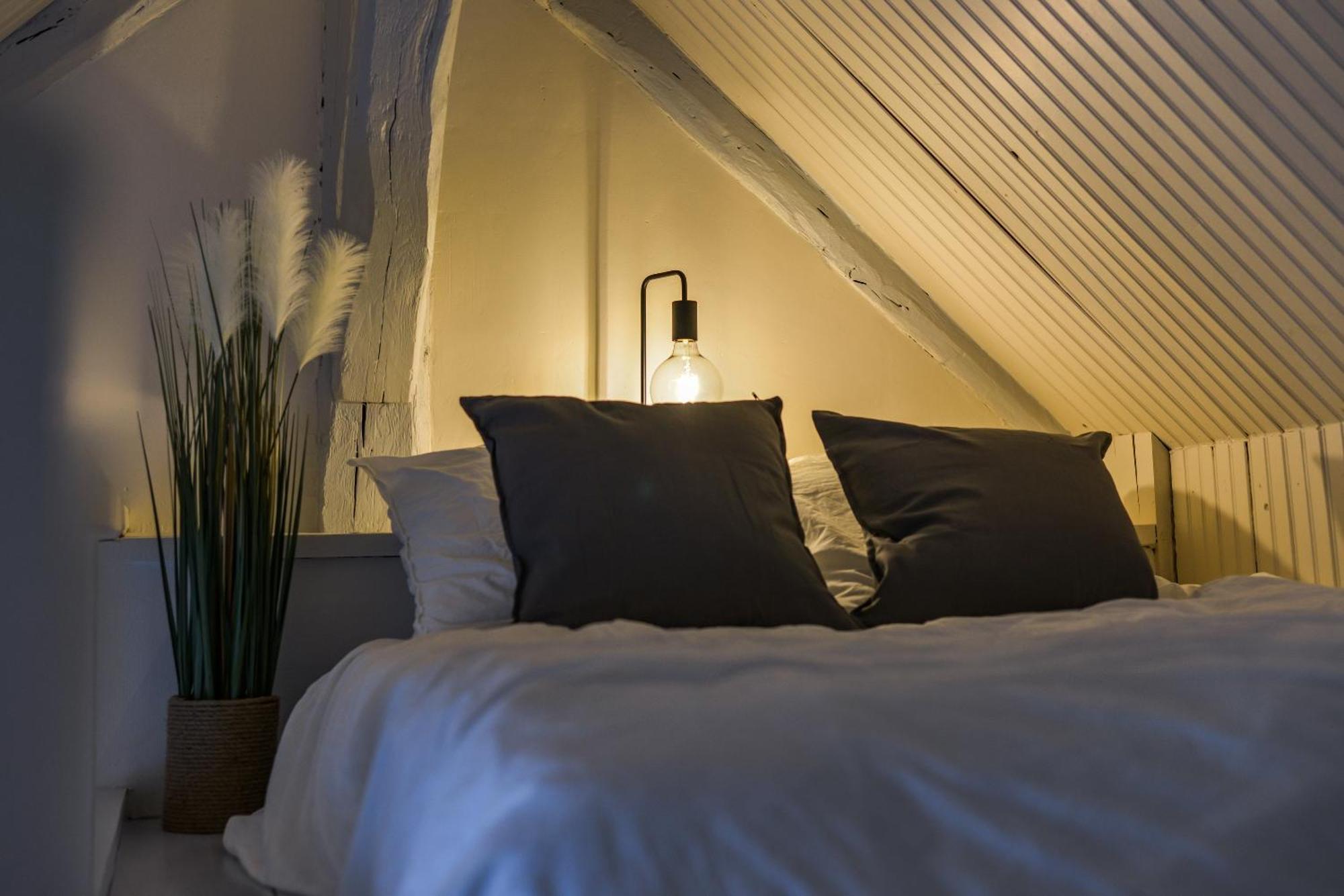Apartament Le Saint-Martin - Hypercentre - Netflix Tours Zewnętrze zdjęcie
